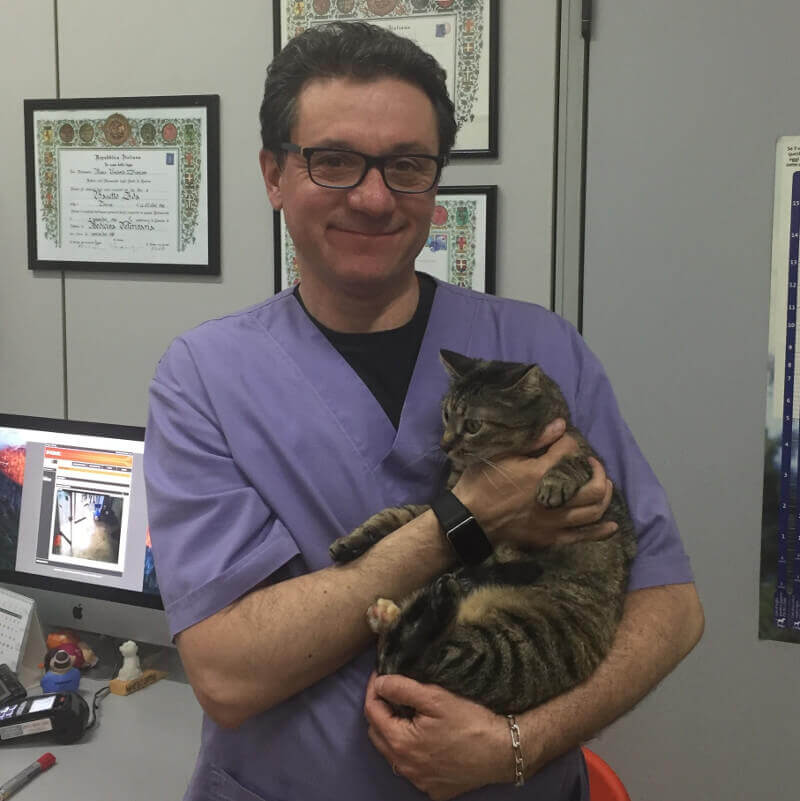 Dr. Lamberti